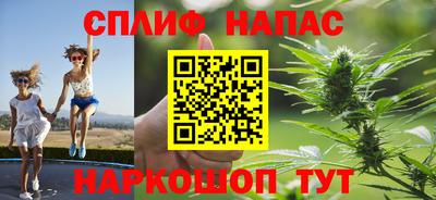 спиды Бийск