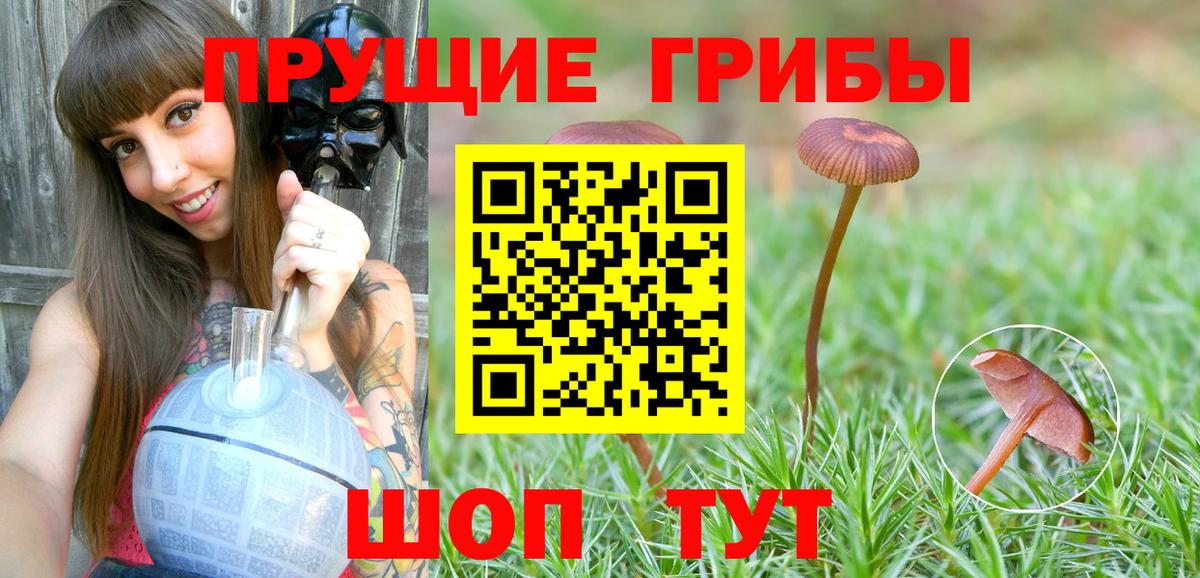 Галлюциногенные грибы MAGIC MUSHROOMS Ипатово